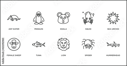 animals outline icons set. thin line icons such as koala  squid  sea urchin  female sheep  tuna  lion  spider vector.