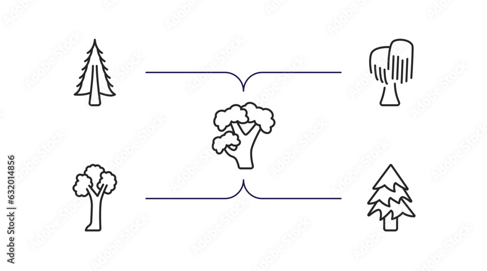 nature outline icons set. thin line icons such as american larch tree, black willow tree, pignut hickory tree, pin cherry balsam fir vector. nature outline icons set. thin line icons such as american larch tree, black willow tree, pignut hickory tree, pin cherry balsam fir vector.