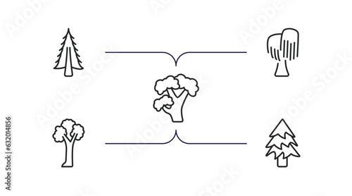 nature outline icons set. thin line icons such as american larch tree, black willow tree, pignut hickory tree, pin cherry balsam fir vector.