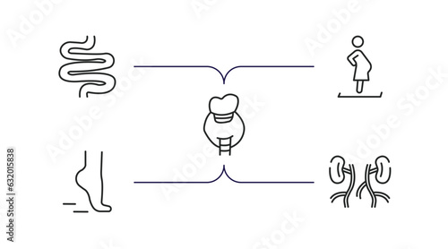 human body parts outline icons set. thin line icons such as small intestine, woman pregnant, thyroid, tiptoe feet, blood supply system vector.