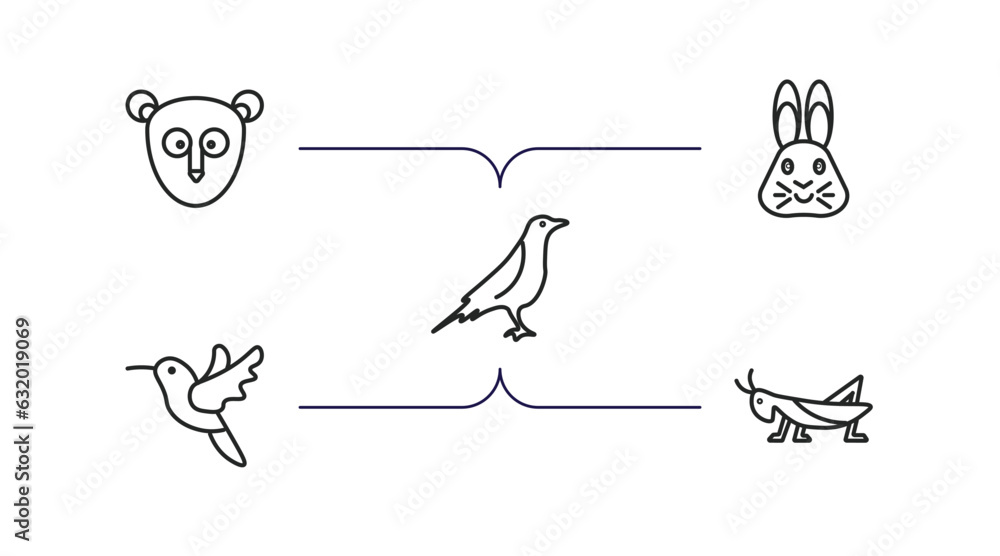 animals outline icons set. thin line icons such as philippine tarsier, hare, raven, humming bird, grasshopper vector.