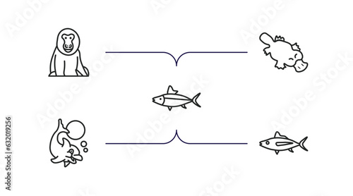 animals outline icons set. thin line icons such as baboon, platypus, salmon, dolphin jumping, tuna vector.