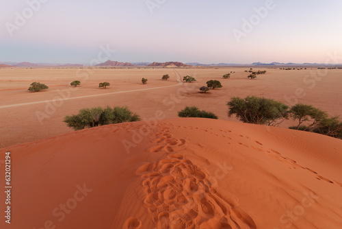 Wide-angle view from the top of the gorgeous Elim Dune over Namib-Naukluft National Park in Namibia