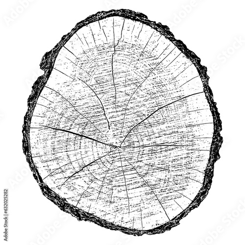 Wood texture cross section of tree rings. Cut slice of wooden stump isolated on white. Textured surface with rings and cracks. Black background made of hardwood from the forest. Vector illustration.