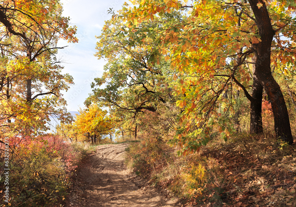 Calm fall season. Beautiful landscape with road in autumn forest. Maples and oak trees with green, yellow and orange leaves and footpath in the woodland Calm fall season. Beautiful landscape with road in autumn forest. Maples and oak trees with green, yellow and orange leaves and footpath in the woodland