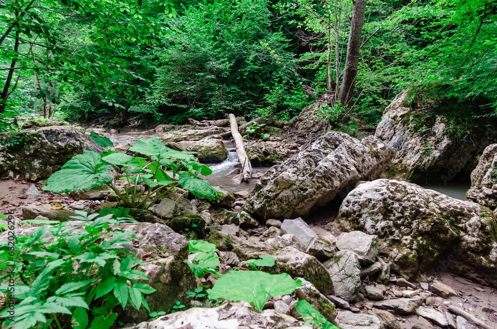 landscape mountain river and rocks with green tropical plants in thailand landscape mountain river and rocks with green tropical plants in thailand