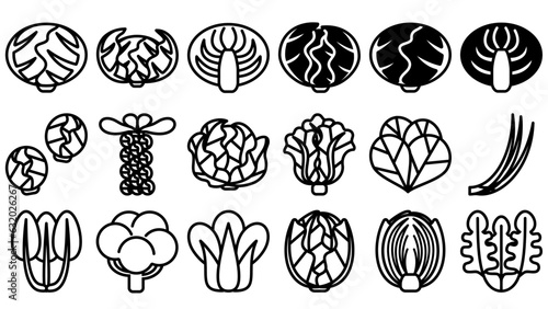 葉野菜のアイコンセット。シンプルなベクター線画イラスト。 Leafy vegetables icon set. Simple vector line drawing illustrations.
