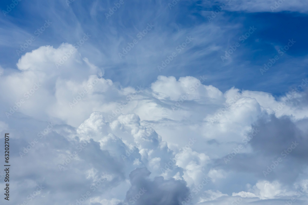 Naklejka premium 夏の空