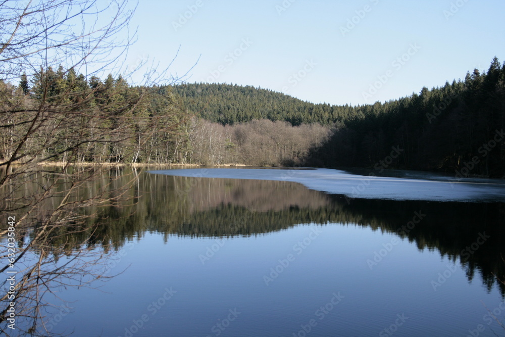 Obraz premium lac gelé, Vosges