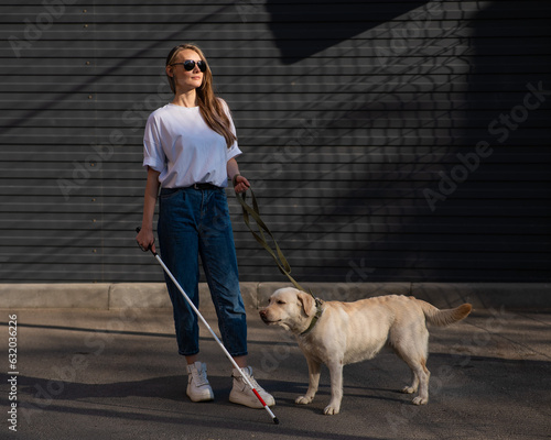 Blind woman walking guide dog outdoors. 