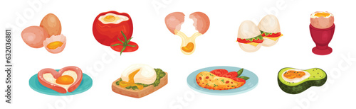 Raw Egg and Cooked in Tomato, Avocado and Omelette Vector Set