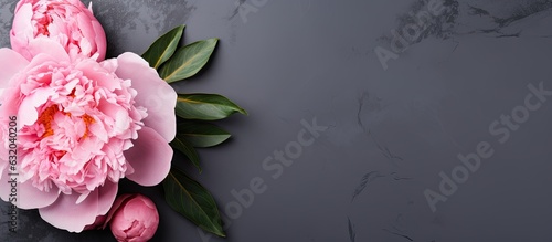 The top view of a pink peony blossom is shown on a concrete background. The peony flower is placed flat on a surface with space for copying. Peonies are also displayed on a grey background, and a