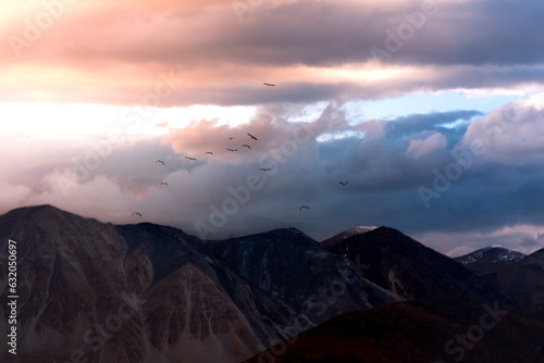 Birds flying over mountains
