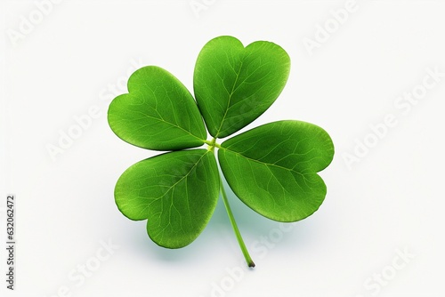 clover leaf isolated on white background.