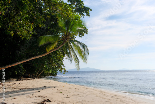 Remote tropical island destination in the Solomon Islands with white sandy beach and coconut beach trees © Adam Constanza