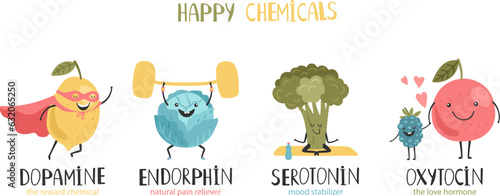Oxytocin, serotonin, endorphin, dopamine. Hormones colorful vector illustration. Mood stabilizer, love hormone, reward chemical, pain reliever. Hormone health icon