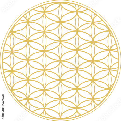 Flower of life, sacred geometry sign, graphic design on white background.