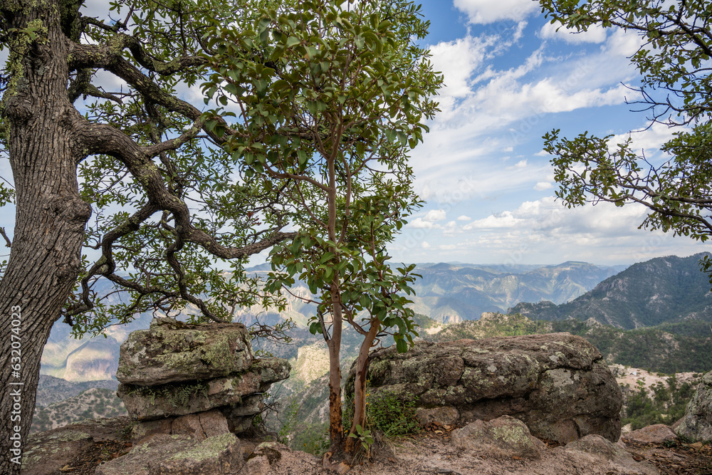Barrancas del cobre, sierra Tarahumara en Chihuahua Barrancas del cobre, sierra Tarahumara en Chihuahua