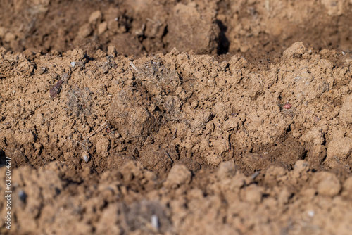 the plowed soil during preparation for sowing agricultural plants