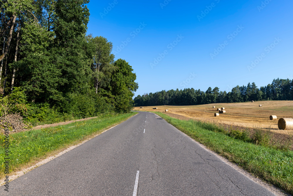 Paved road through the forest Paved road through the forest