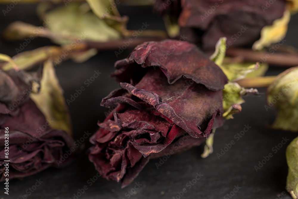 An old dry rose with crumbs from dry petals An old dry rose with crumbs from dry petals