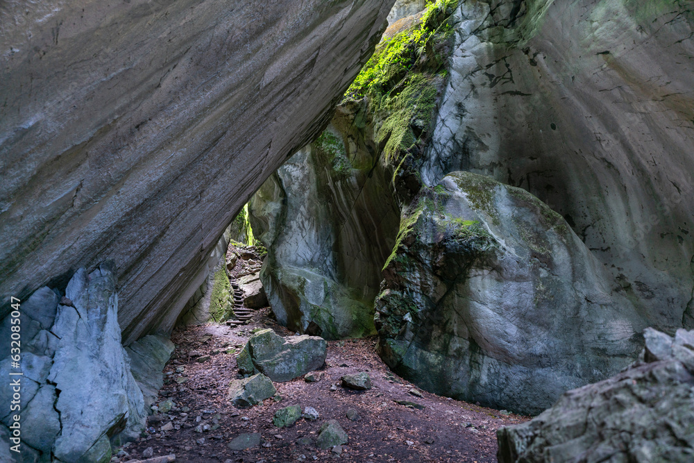 Eine Höhle, die oben offen ist und durch den Spalt Licht hereinlässt, mit Pflanzen bewachsen. Das Kirchle bei Dornbirn ist ein märchenhafter Platz, verborgen im Wald auf einem Hügel. Felsbrocken und M