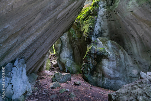 Eine Höhle, die oben offen ist und durch den Spalt Licht hereinlässt, mit Pflanzen bewachsen. Das Kirchle bei Dornbirn ist ein märchenhafter Platz, verborgen im Wald auf einem Hügel. Felsbrocken und M