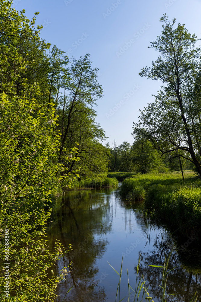 a small river in eastern Europe in the summer a small river in eastern Europe in the summer