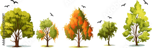 autumn trees, set of vector illustrations of  on white background
