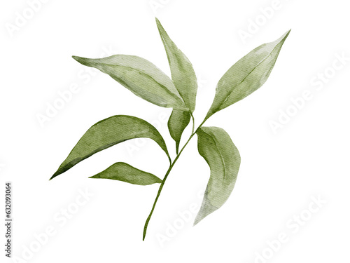 Watercolor illustration of green branch with leaves