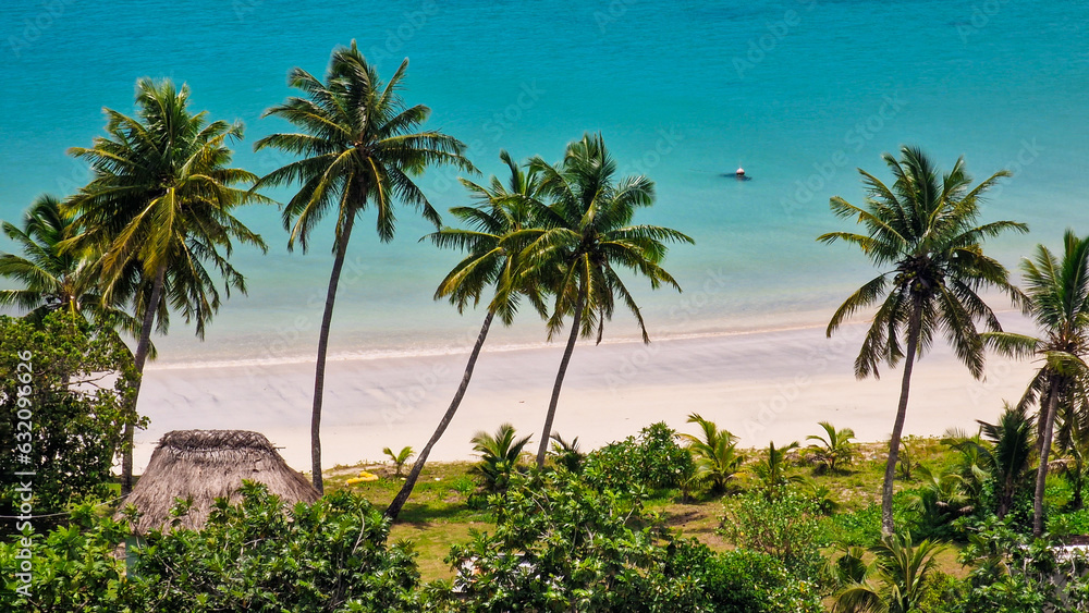Fiji palm trees and beaches 