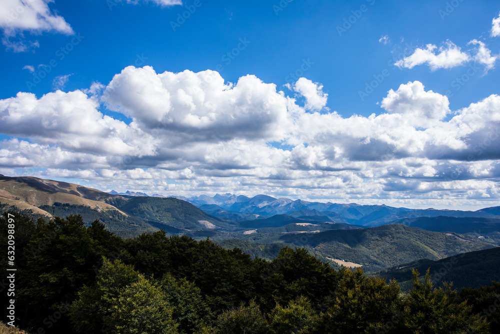 Fototapeta premium Summer landscape in the mountains of Navarra, Pyrenees, Spain