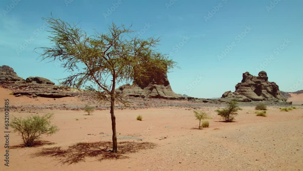 Natural Rock Formations On Desert Landscape In Algeria. aerial pull-back Natural Rock Formations On Desert Landscape In Algeria. aerial pull-back