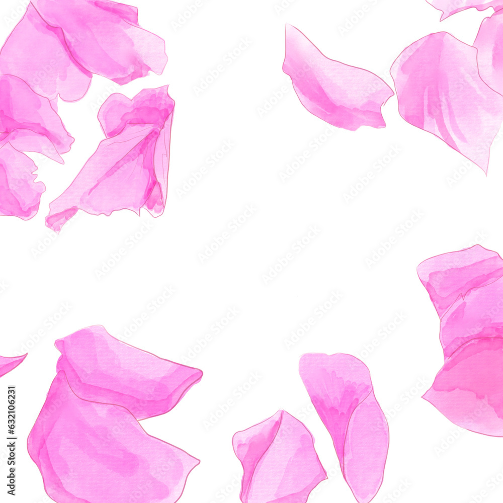 pink rose sakura petals isolated background