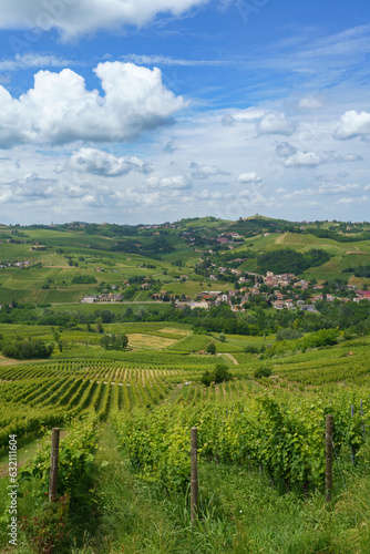 Hills of Oltrepo Pavese at June. Vineyards