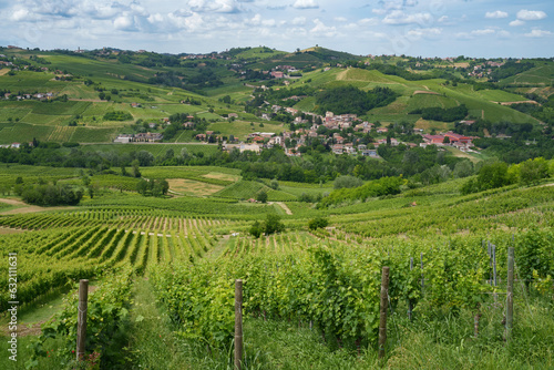 Hills of Oltrepo Pavese at June. Vineyards photo