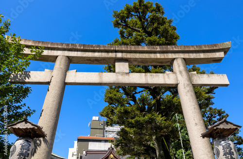 大鳥神社 鳥居 photo