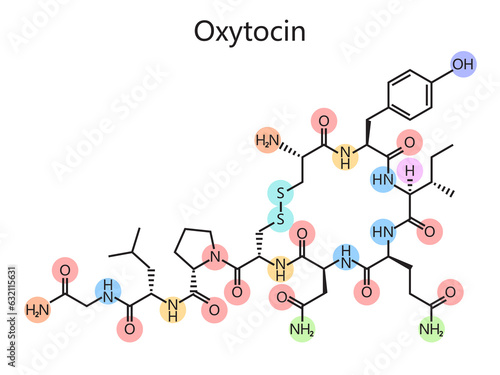 Chemical organic formula of oxytocin diagram schematic raster illustration. Medical science educational illustration photo