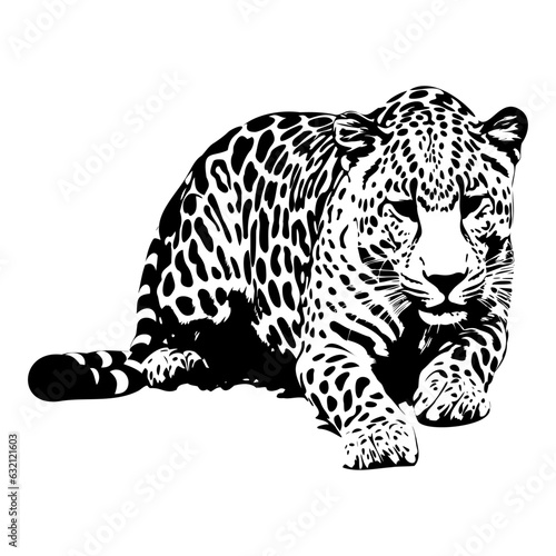 Cheetah, vector art, isolated on white background, vector illustration.