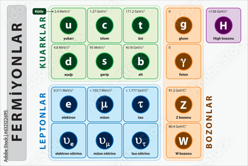 Fizik fermiyon, kuark, lepton, bozon. The standard model of physics. In the physics of elementary particles, bosons of all elementary particles, electromagnetic and strong interaction.