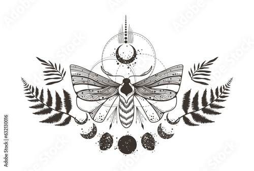 Magic celestial butterfly, fern leaves, plants and moon silhouettes clipart, mystic space moth with crescent, black and white insects in vector, isolated element for t-shirt, poster, postcards