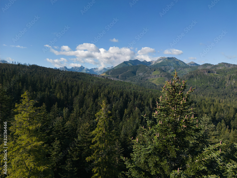 Mountain landscape in the Tatras in summer. Drone view of the mountains in Zakopane in summer. Mountain landscape in the Tatras in summer. Drone view of the mountains in Zakopane in summer.