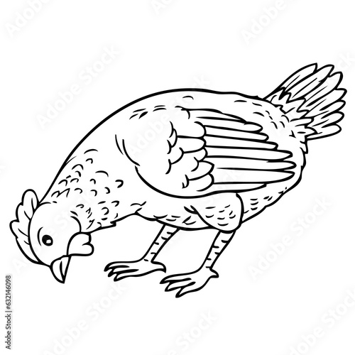 chicken eating outline vector illustration