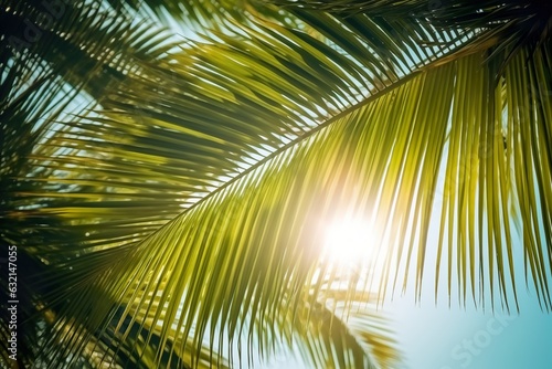 Tropical Sunrays  Palm Paradise