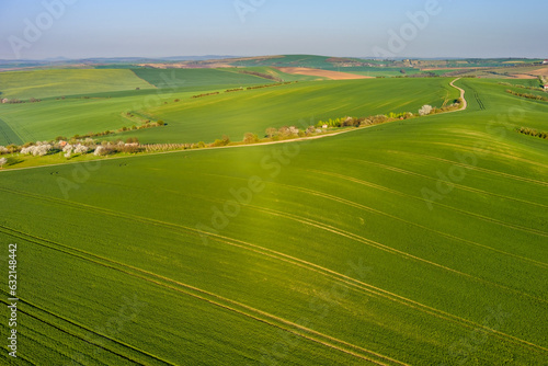 Green wavy hills with agricultural fields © Kokhanchikov