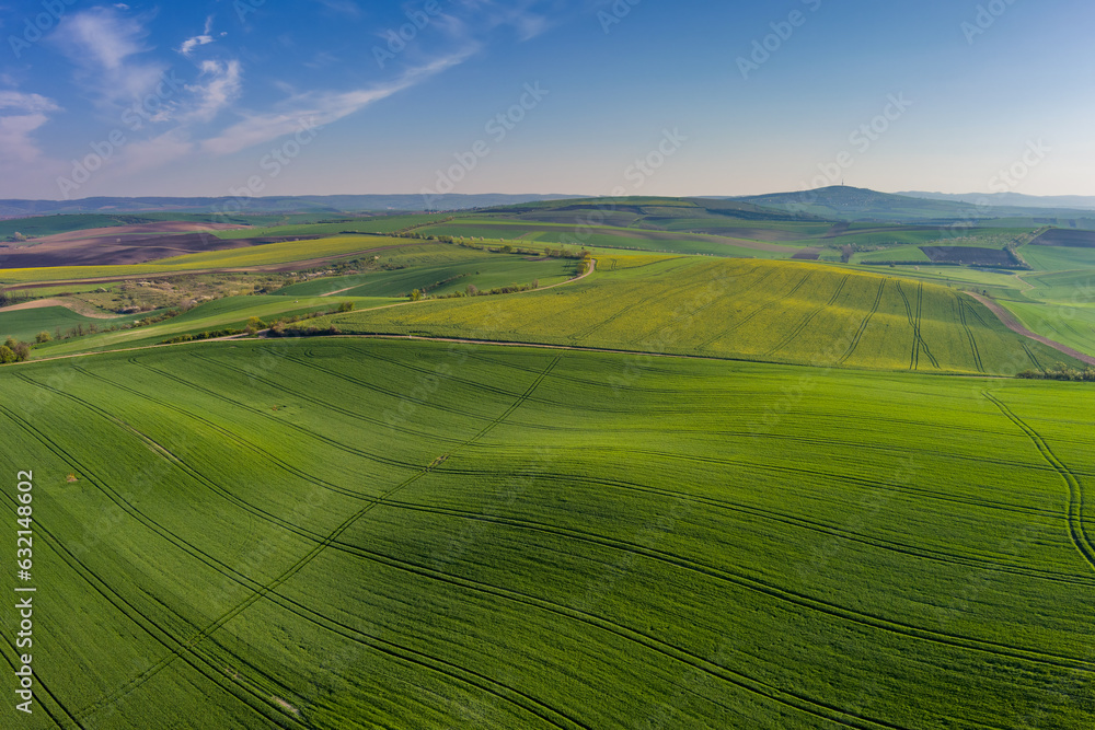 Green wavy hills with agricultural fields