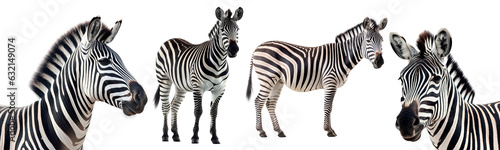 Set of Zebra collection illustration isolated transparent background  PNG   Generative AI