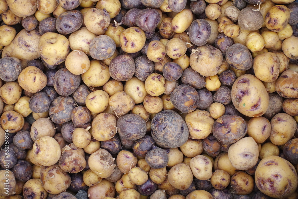 Kanarische Kartoffeln Kanarische Kartoffeln
