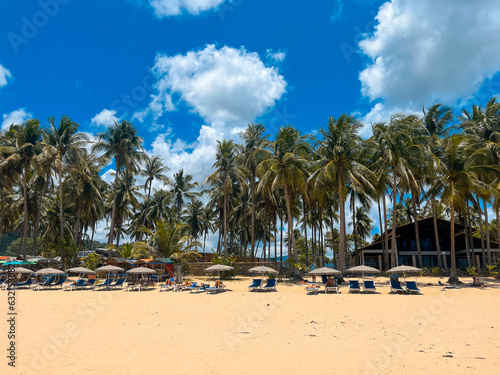 Sun beds on the beach. The tropical vibe, island life, exotic vacation. Philippines. Beach resort. Palm trees in the background. 