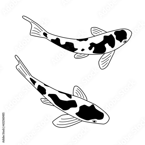 Koi carp. Black and white vector illustration. Contour drawing of japanese fish top view. Hand drawn sketch doodle style.